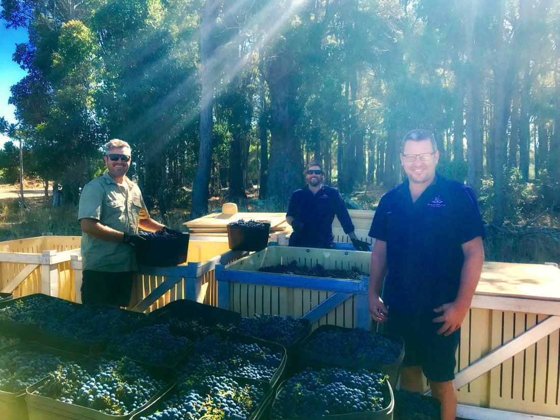 The Black Prince – 2019 Cabernet Sauvignon – Our Best Cabernet Yet!