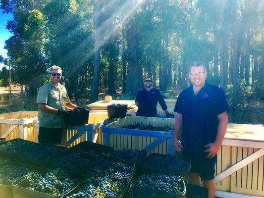 The Black Prince – 2019 Cabernet Sauvignon – Our Best Cabernet Yet!