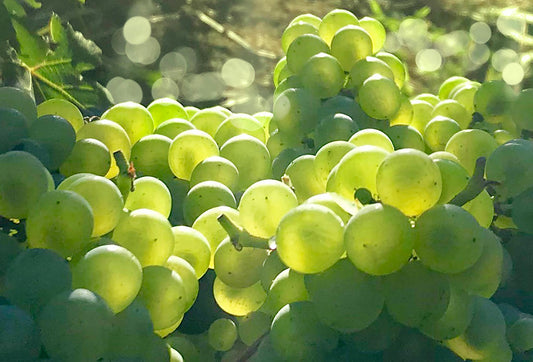 The unpredictable benevolence of Mother Nature