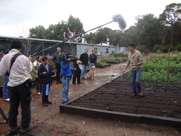 Planting Pumpkin