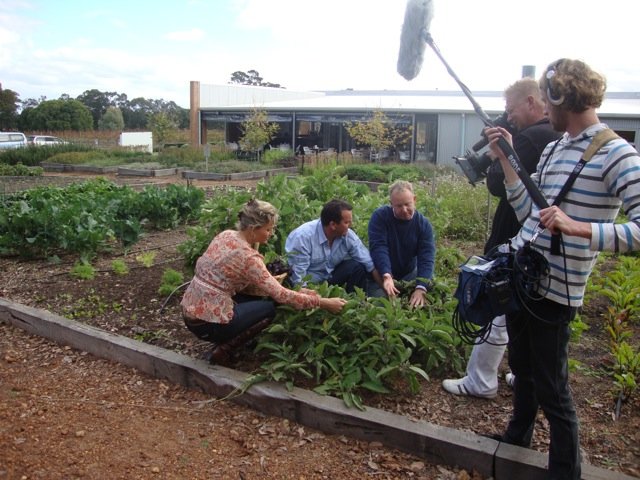 Filming in Providore's Organic Vegetable garden.