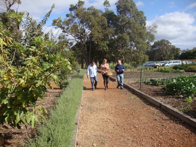 It was a perfect Autumn day to be strolling through the organic vegetable garden.